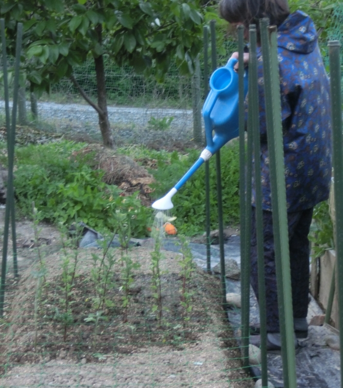 f:id:umryuyanagi104:20150513184950j:image:w360 f:id:umryuyanagi104:20150513184950j:image:w360