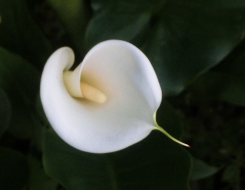 f:id:umryuyanagi104:20150513185126j:image:w360 f:id:umryuyanagi104:20150513185126j:image:w360