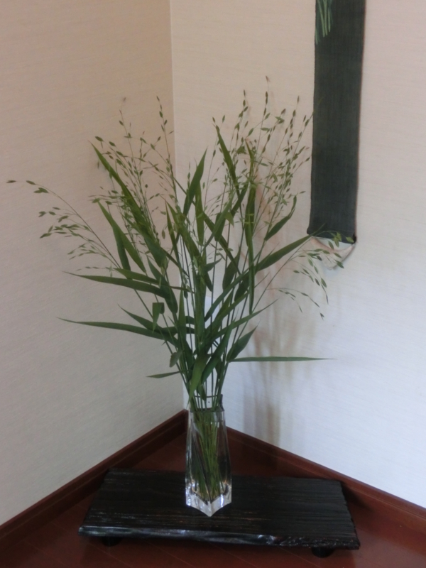 f:id:umryuyanagi104:20150608135236j:image:w360