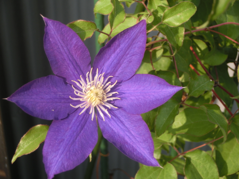 f:id:umryuyanagi104:20150615074809j:image:w360