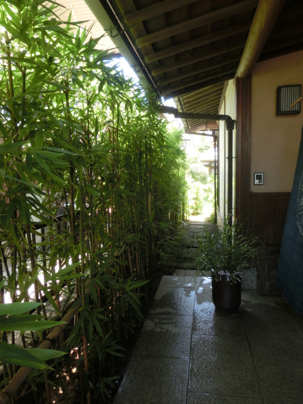 f:id:umryuyanagi104:20150629122022j:image:w360 f:id:umryuyanagi104:20150629122022j:image:w360