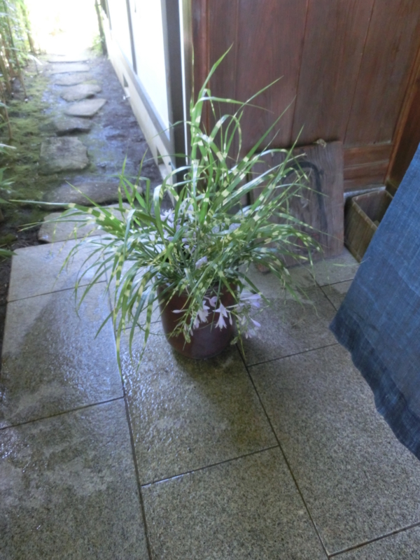 f:id:umryuyanagi104:20150629122036j:image:w360 f:id:umryuyanagi104:20150629122036j:image:w360