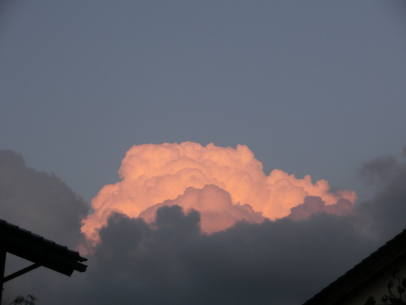 f:id:umryuyanagi104:20150904182509j:image:w360