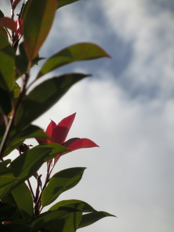 f:id:umryuyanagi104:20151002132050j:image:w360