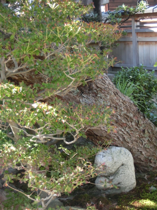 f:id:umryuyanagi104:20151007141243j:image:w360