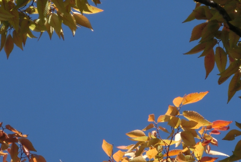 f:id:umryuyanagi104:20151007141724j:image:w360
