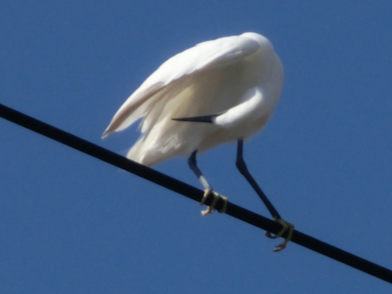 f:id:umryuyanagi104:20151008100843j:image:w360