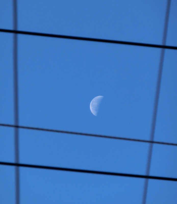 f:id:umryuyanagi104:20151104083441j:image:w360 f:id:umryuyanagi104:20151104083441j:image:w360