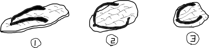 f:id:umryuyanagi104:20151108093156j:image:w360 f:id:umryuyanagi104:20151108093156j:image:w360