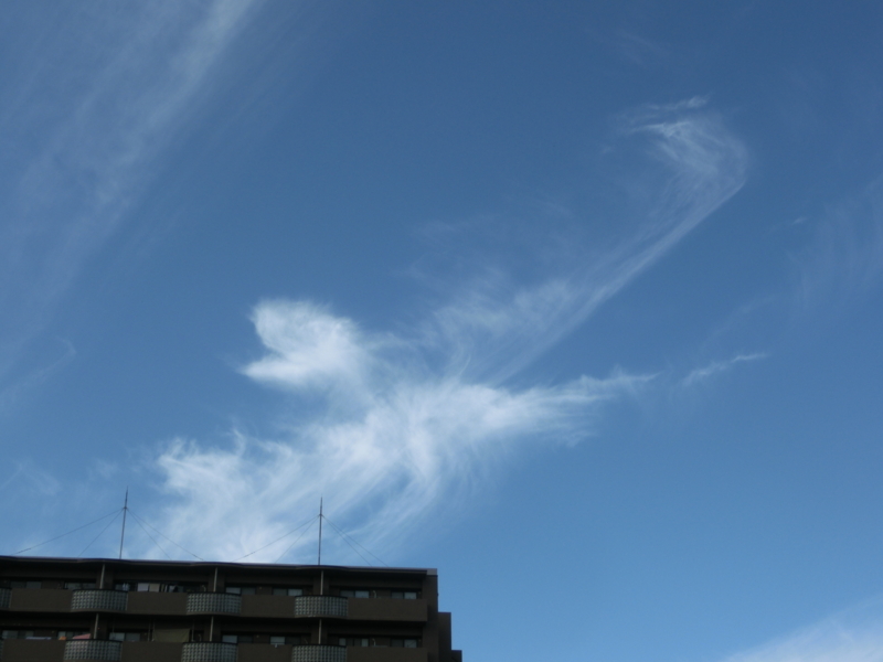 f:id:umryuyanagi104:20151112114008j:image:w360