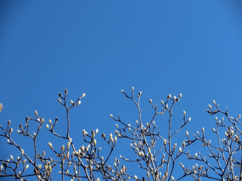 f:id:umryuyanagi104:20151207091516j:image:w360