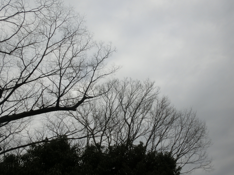 f:id:umryuyanagi104:20160131133822j:image:w360