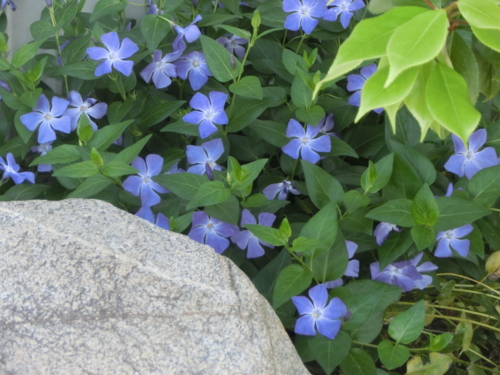 f:id:umryuyanagi104:20160502081817j:image:w360