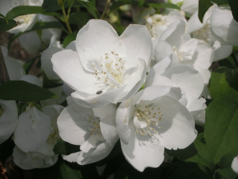 f:id:umryuyanagi104:20160524095517j:image:w360