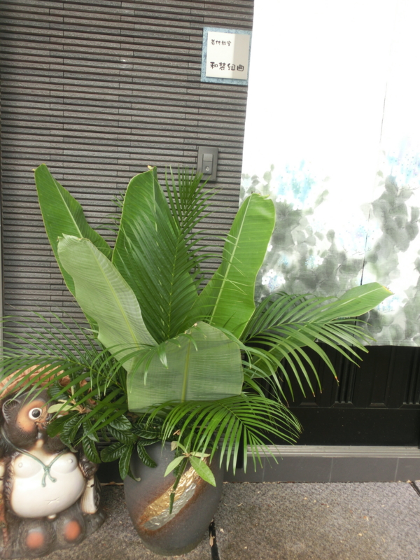 f:id:umryuyanagi104:20160718083024j:image:w360