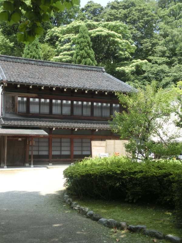 f:id:umryuyanagi104:20160728130322j:image:w360 f:id:umryuyanagi104:20160728130322j:image:w360