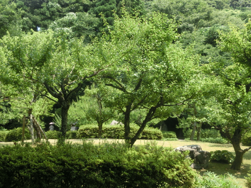 f:id:umryuyanagi104:20160728130326j:image:w360 f:id:umryuyanagi104:20160728130326j:image:w360