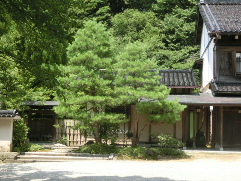 f:id:umryuyanagi104:20160728130343j:image:w360 f:id:umryuyanagi104:20160728130343j:image:w360