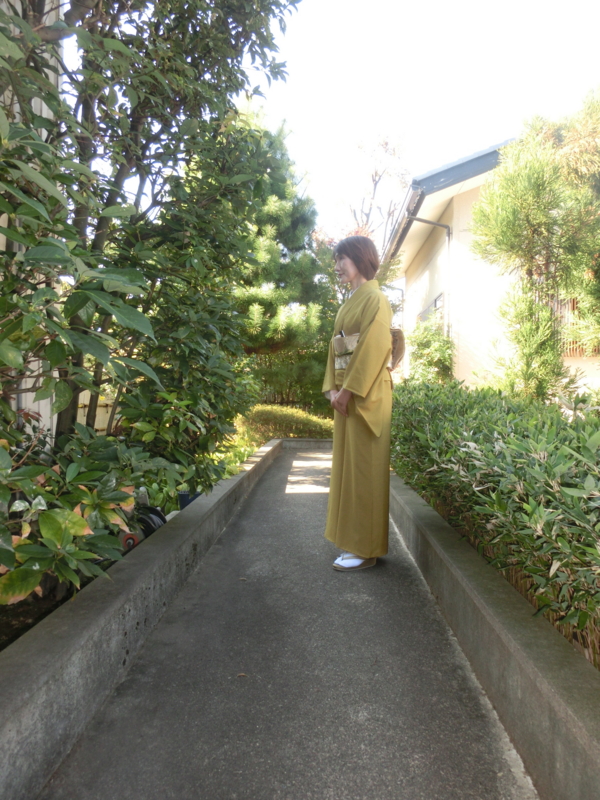 f:id:umryuyanagi104:20161105134051j:image:w360