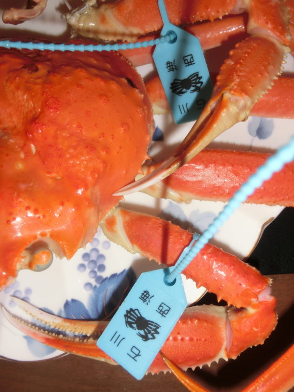 f:id:umryuyanagi104:20161202152135j:image:w360