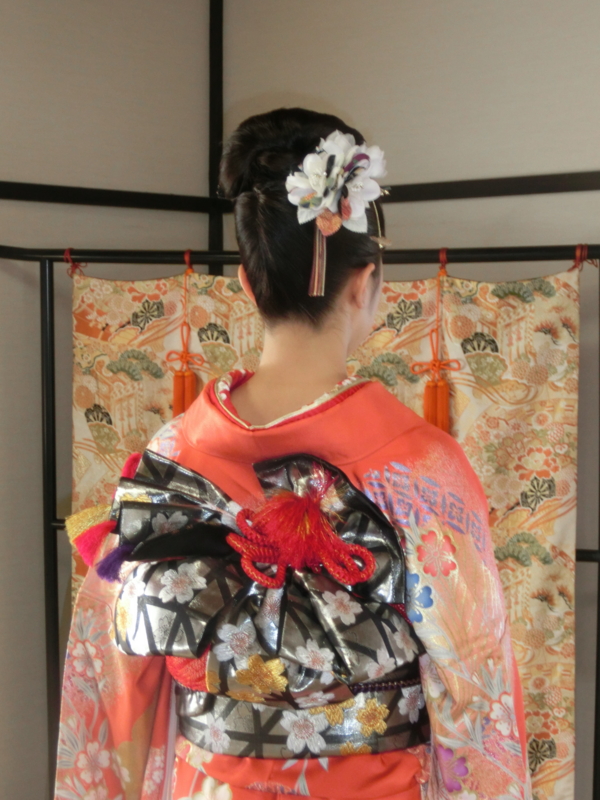 f:id:umryuyanagi104:20170107105235j:image:w360