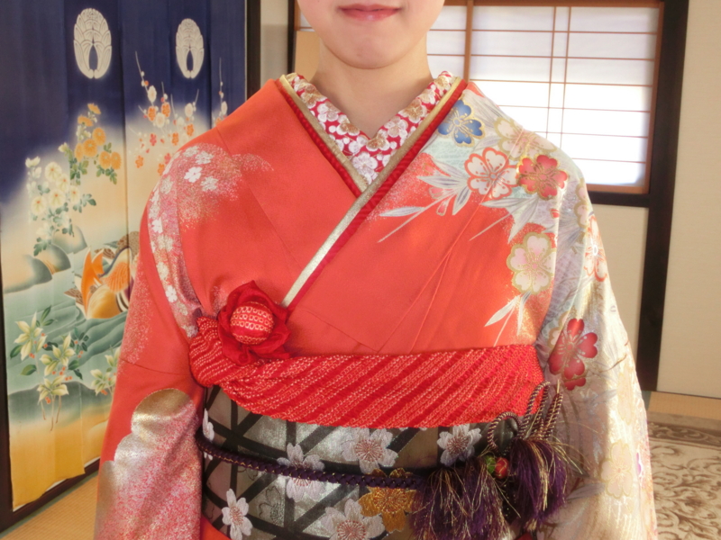 f:id:umryuyanagi104:20170107105306j:image:w360