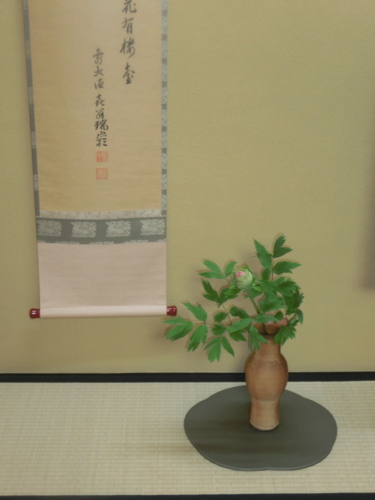 f:id:umryuyanagi104:20170215183144j:image:w360 f:id:umryuyanagi104:20170215183144j:image:w360