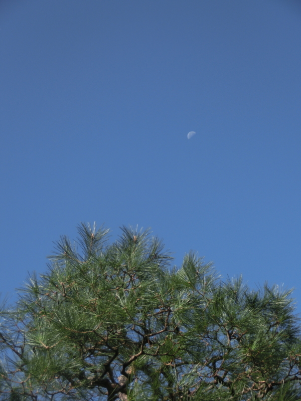 f:id:umryuyanagi104:20170913083035j:image:w360