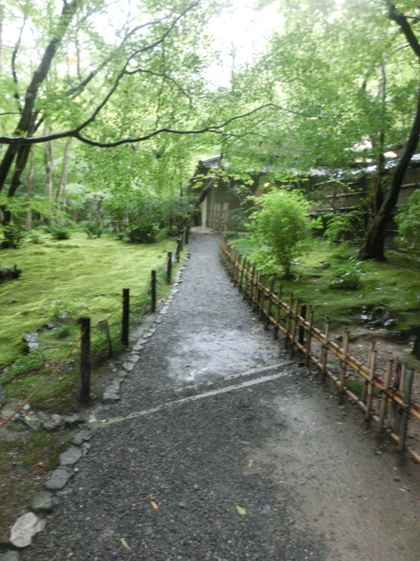 f:id:umryuyanagi104:20171015142118j:image:w360