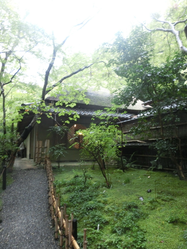 f:id:umryuyanagi104:20171015142135j:image:w360