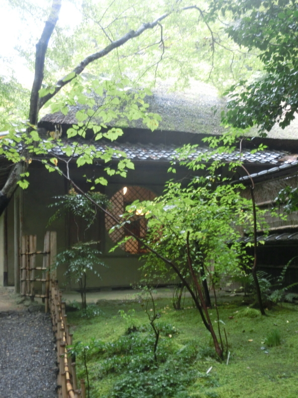 f:id:umryuyanagi104:20171015142140j:image:w360