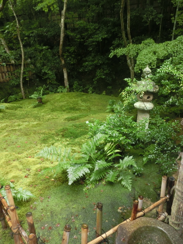 f:id:umryuyanagi104:20171015142815j:image:w360