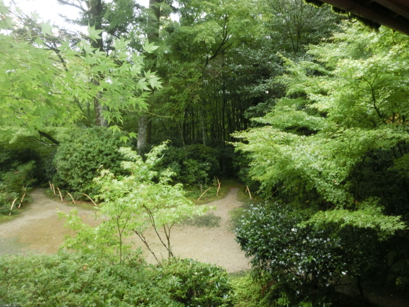 f:id:umryuyanagi104:20171015143957j:image:w360