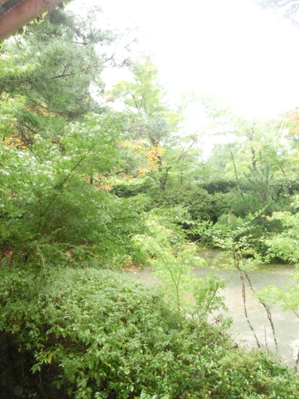 f:id:umryuyanagi104:20171015144109j:image:w360