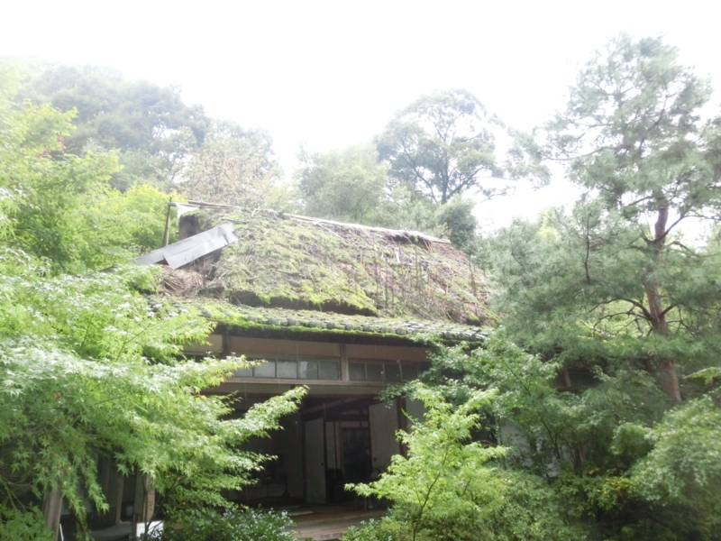 f:id:umryuyanagi104:20171015144409j:image:w360