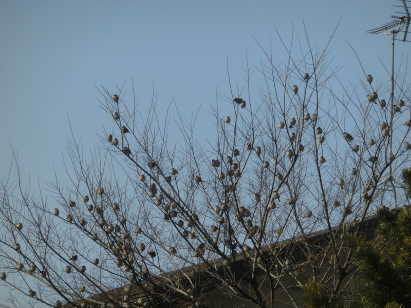 f:id:umryuyanagi104:20180227152426j:image:w360