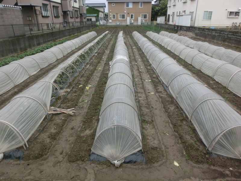 f:id:umryuyanagi104:20180508124612j:image:w360