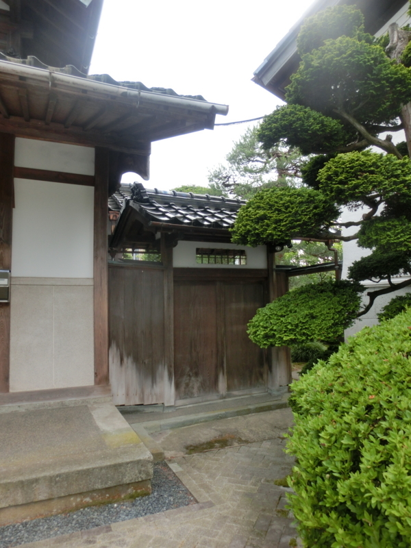 f:id:umryuyanagi104:20180608145028j:image:w360