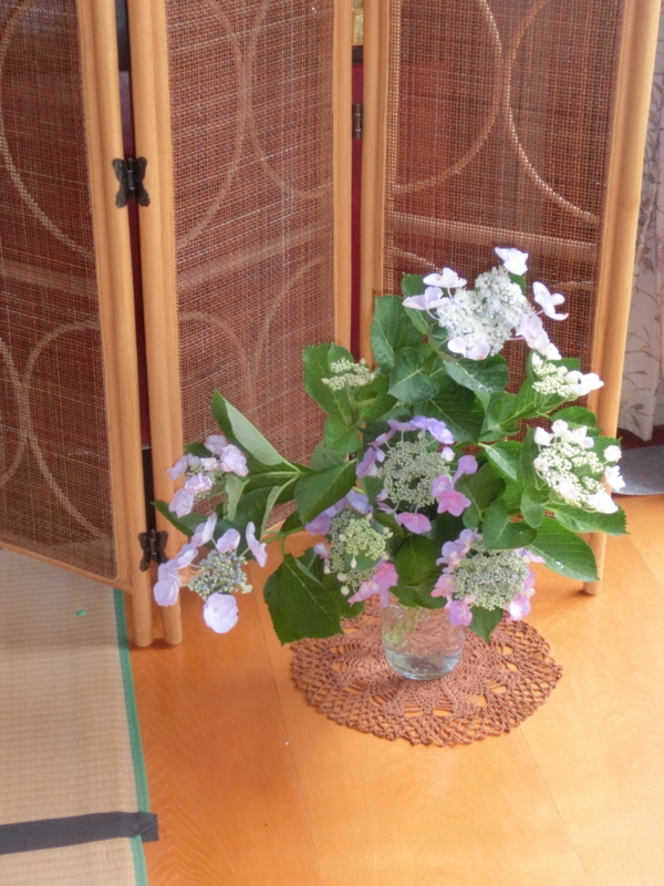 f:id:umryuyanagi104:20180609120243j:image:w360