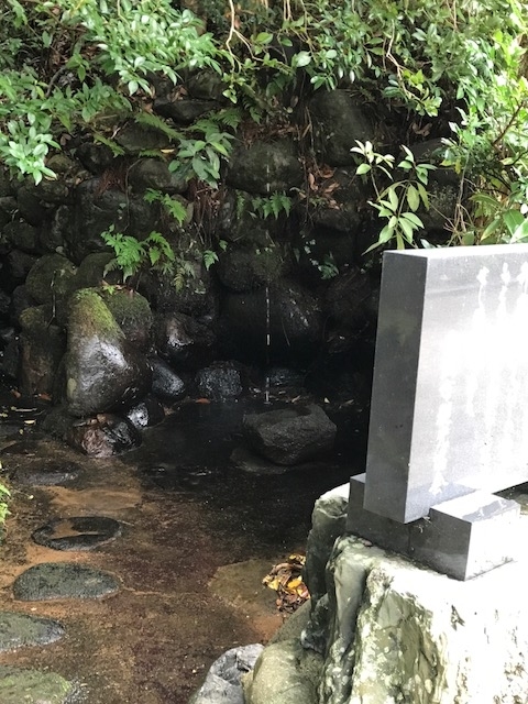 f:id:umryuyanagi104:20180828132950j:image:w360