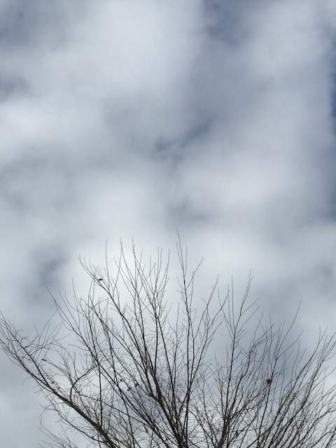 f:id:umryuyanagi104:20181213121549j:plain