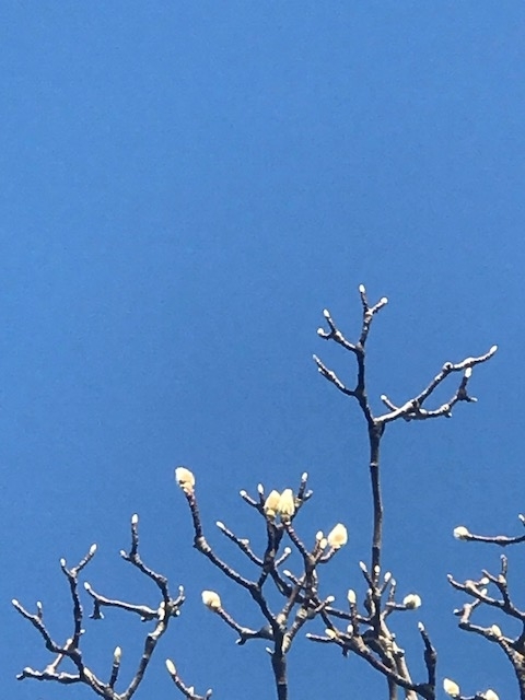 f:id:umryuyanagi104:20181222132715j:plain f:id:umryuyanagi104:20181222132715j:plain