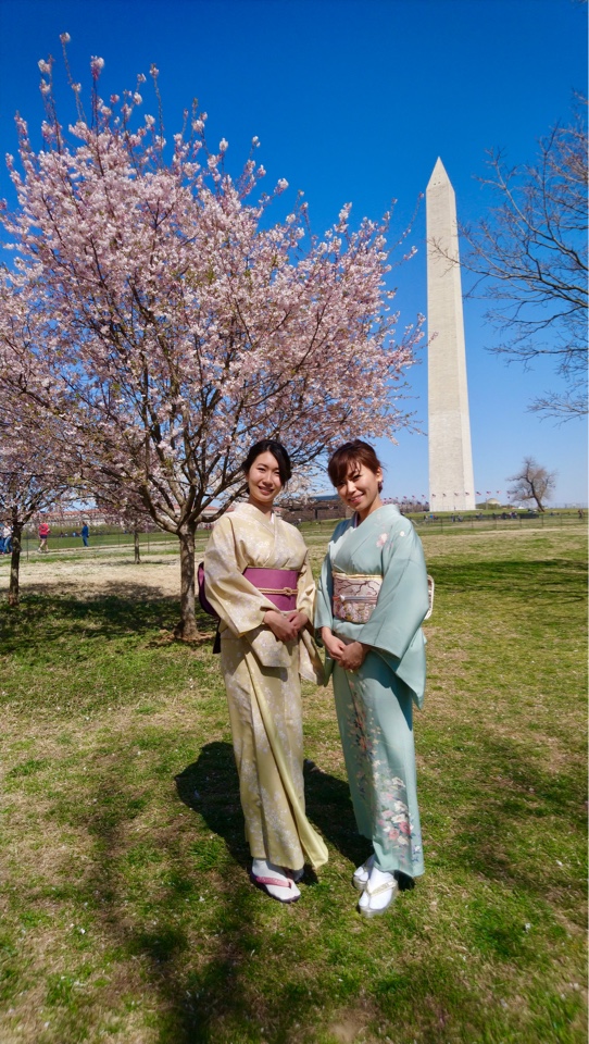 f:id:umryuyanagi104:20190417140353j:plain