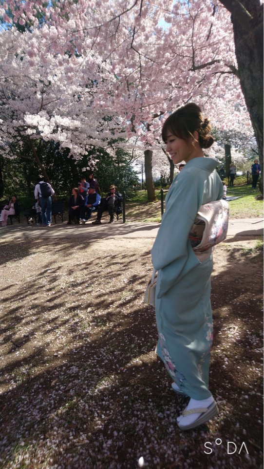 f:id:umryuyanagi104:20190417140716j:plain