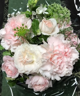 f:id:umryuyanagi104:20190428164610j:plain