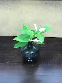 f:id:umryuyanagi104:20190711150413j:plain f:id:umryuyanagi104:20190711150413j:plain
