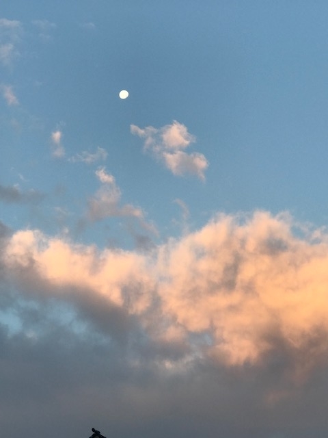 f:id:umryuyanagi104:20211123064645j:plain