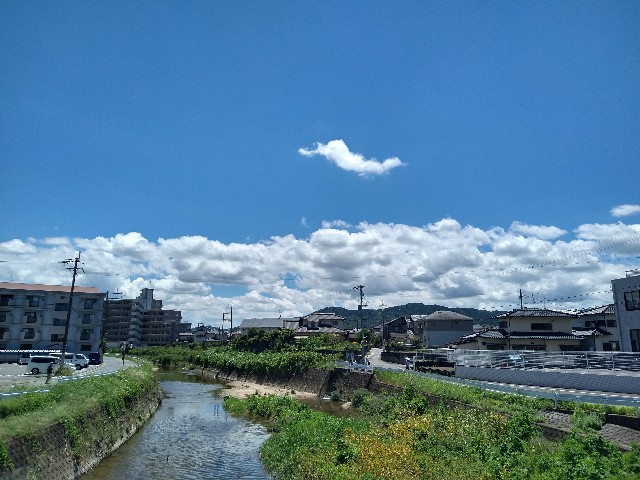 f:id:umtng:20240810234704j:image
