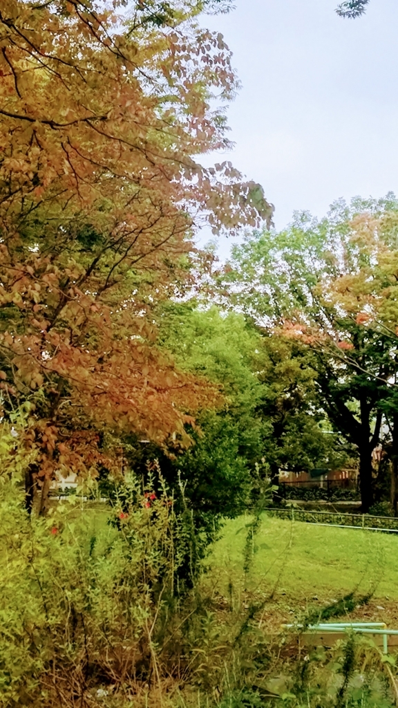 f:id:un-blanc:20171008102823j:plain f:id:un-blanc:20171008102823j:plain