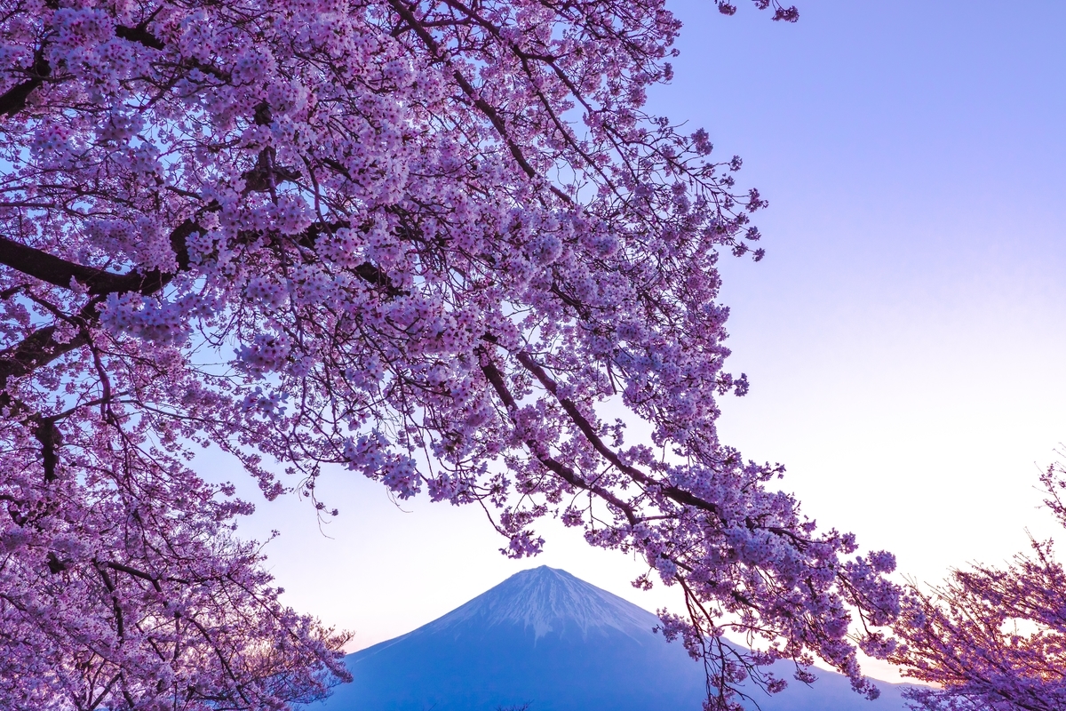 f:id:unagimikankun:20190427175831j:plain